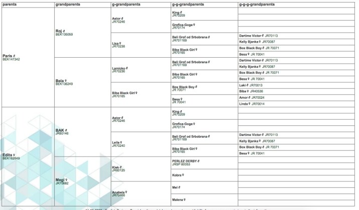 Screen Shot 2023-03-14 at 19.01.22